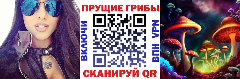 Псилоцибиновые грибы Cubensis  Купить  Нестеровская 